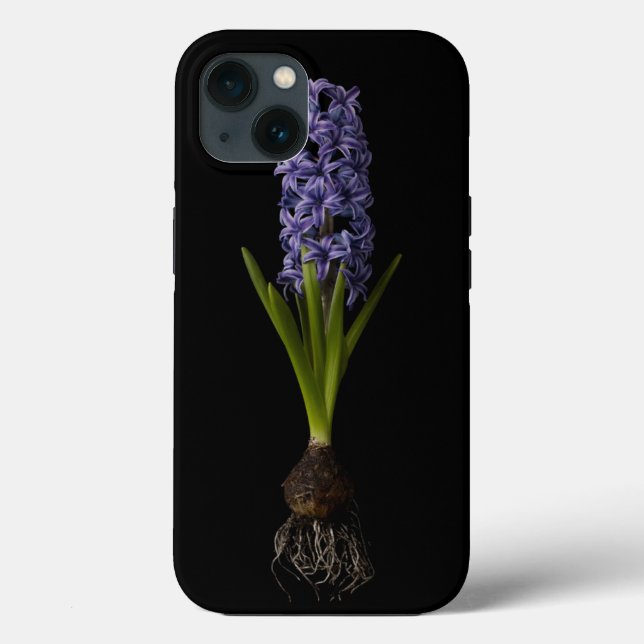 Flores | Lâmpada de Hyacinth Roxa (Verso)