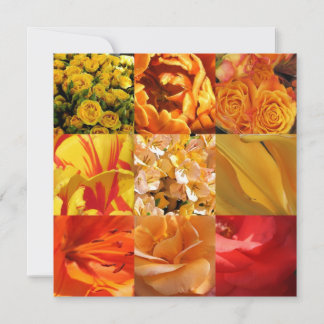 Flores laranja e amarela