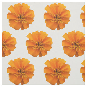 Flores Laranja Marigold no Tecido Branco
