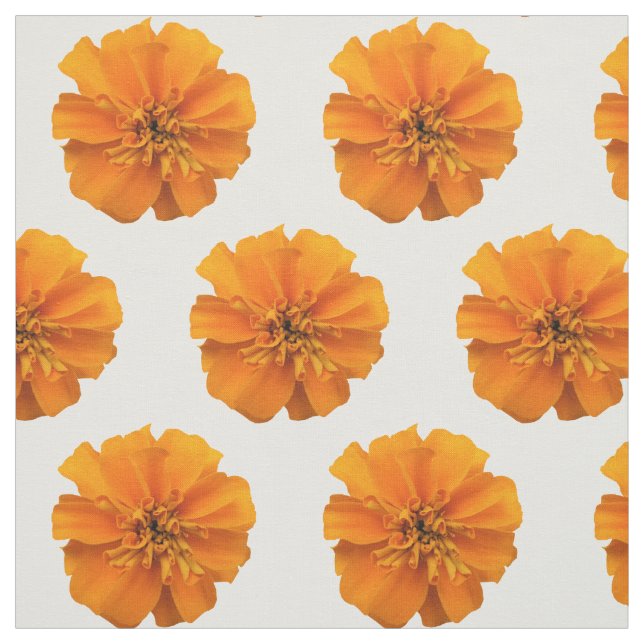 Flores Laranja Marigold no Tecido Branco (Modelo)