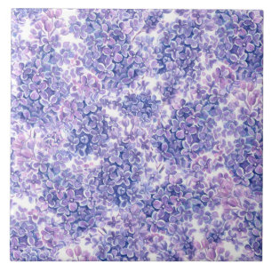 Flores lilás de cor aquosa violeta