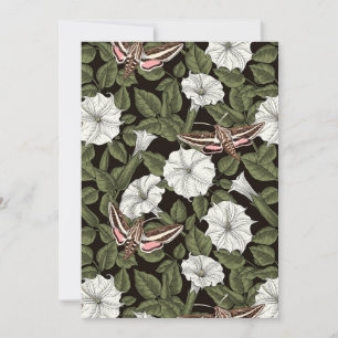 Flores-lua e mariposas esfinas