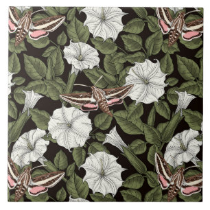 Flores-lua e mariposas esfinas