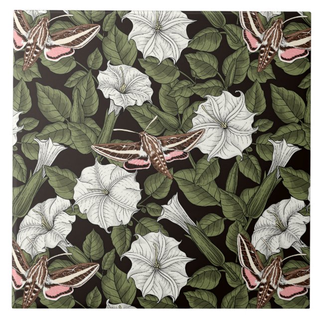 Flores-lua e mariposas esfinas (Frente)