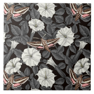 Flores-lua e mariposas-esfinge 2