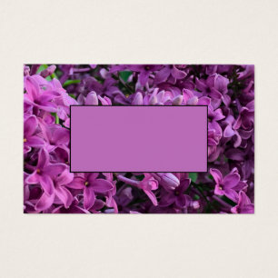 Flores magenta roxas profundas elegantes flores li