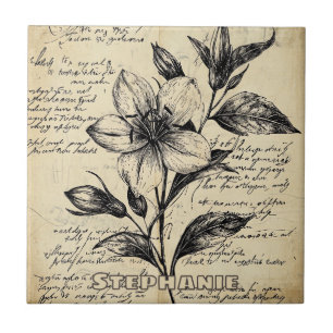 Flores Marrom Antigo Caligrafia Pergaminho