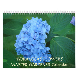 Flores MESTRAS dos Hydrangeas do calendário do