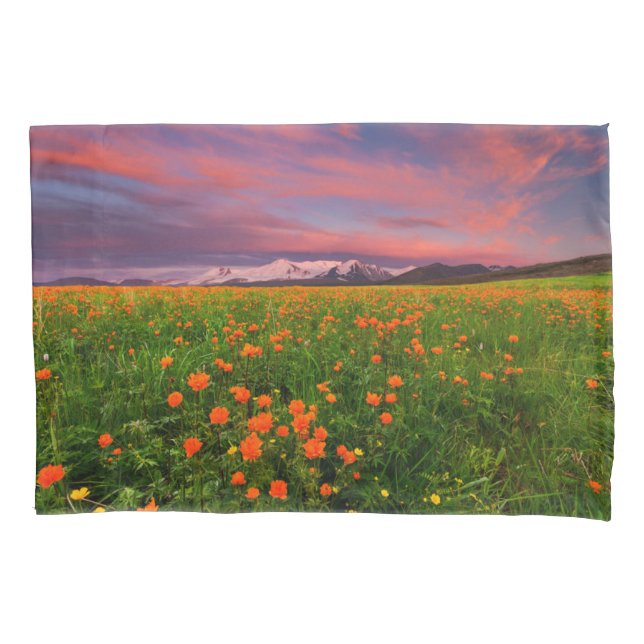 Flores | Montanhas com paisagens de flores silvest (Frente)