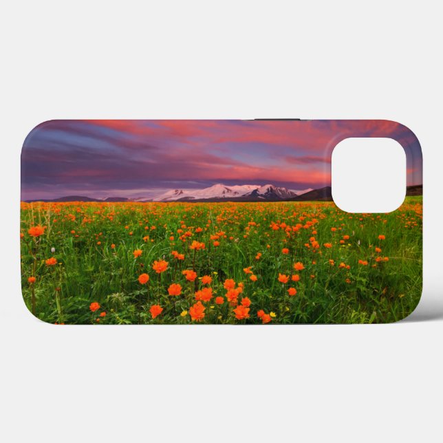 Flores | Montanhas com paisagens de flores silvest (Verso (horizontal))
