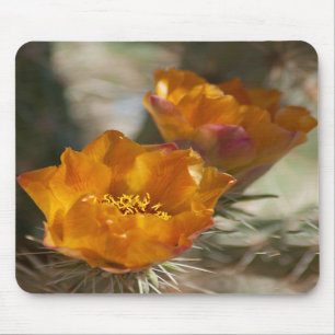 Flores Mousepad do cacto de Staghorn Cholla