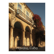 Flores na Plaza de la Catedral, Havana Poster