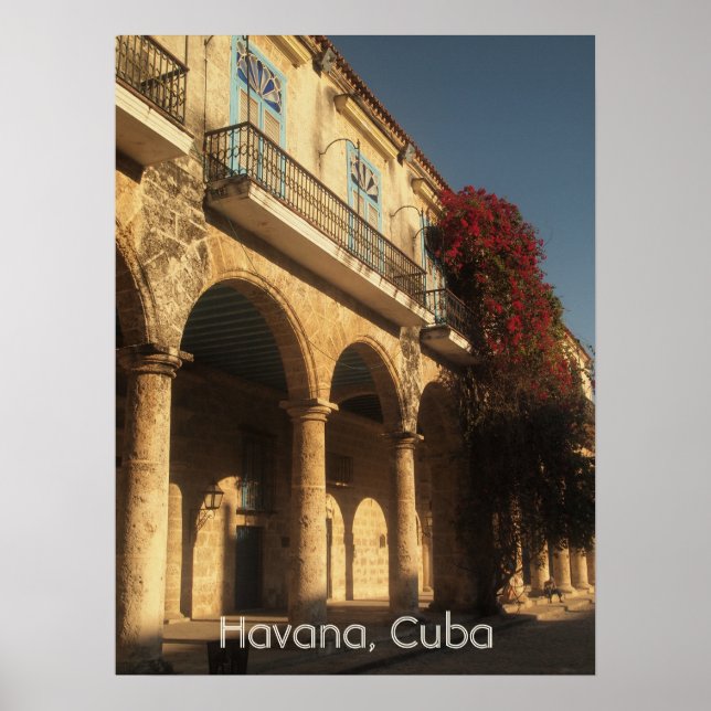 Flores na Plaza de la Catedral, Havana Poster (Frente)