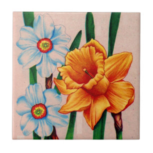 flores narciso