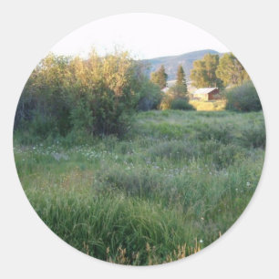 flores no adesivo do Colorado