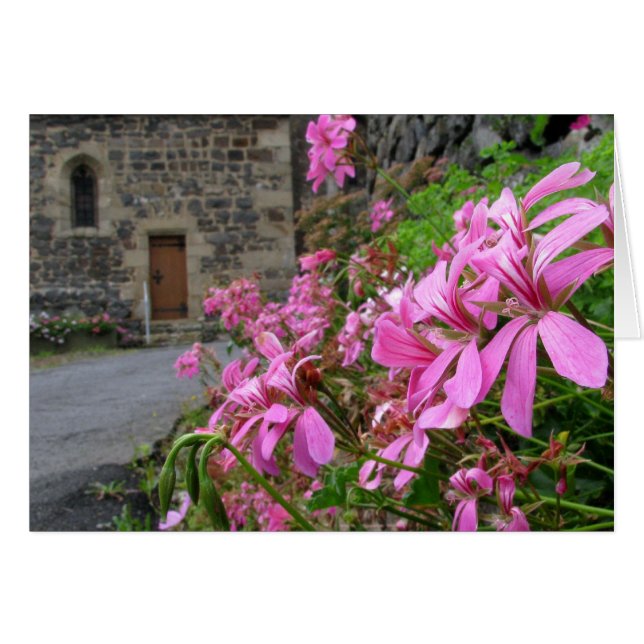 Flores no cartão da maneira (Frente Horizontal)
