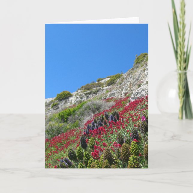 Flores no Cartão de Saudação Hill (Frente)