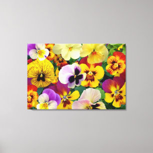Flores Pansy ~ Canvas