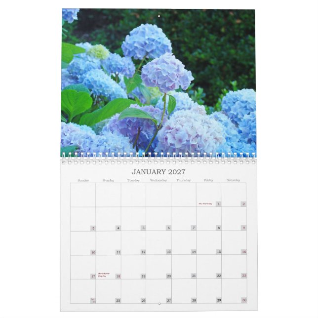 Flores para Calendário de Vovó Fotografia de Flore (Jan 2027)