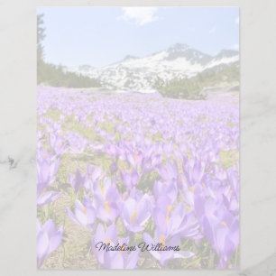 Flores Parque da Montanha Crocus Pirin Bulgária