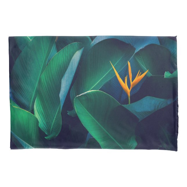 Flores | Pássaro do Paraíso (Frente)