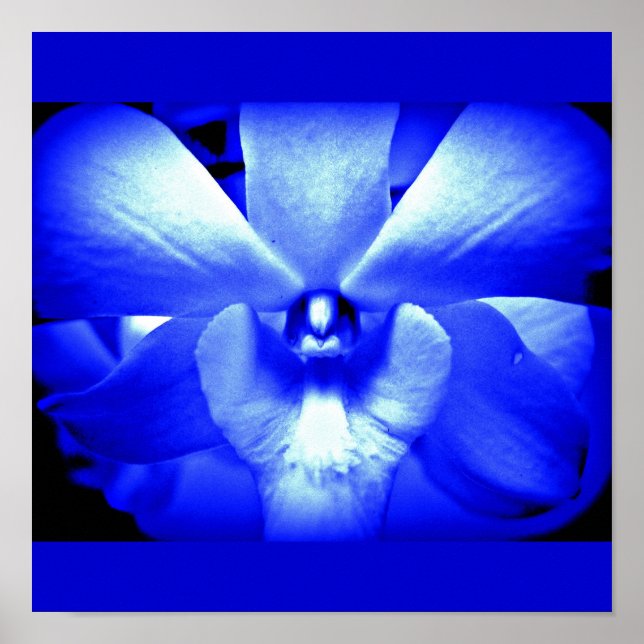 Flores Pintadas por poster 13 (Frente)