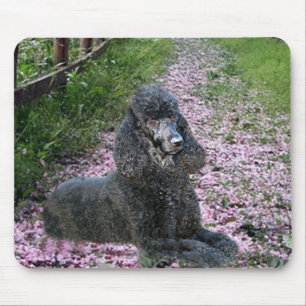 Flores pretas do roxo de Mousepad da caniche
