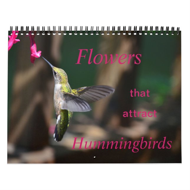 Flores que atraem Calendário de Aves Hummingues (Capa)