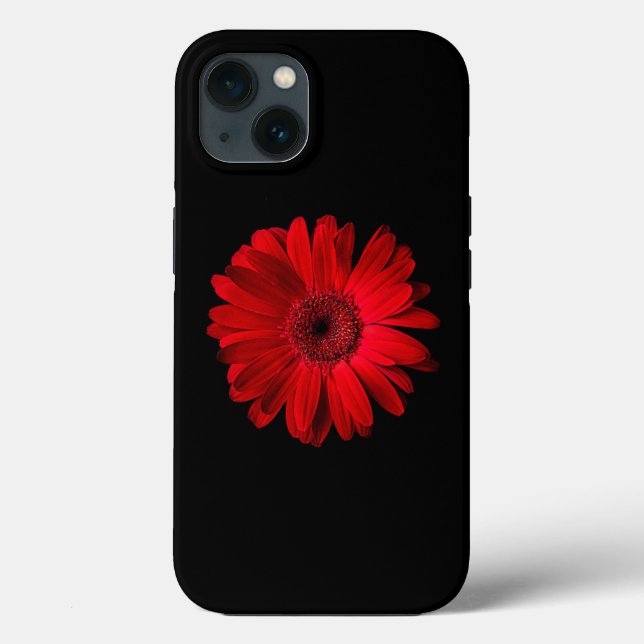 Flores | Red Gerbera Daisy (Verso)