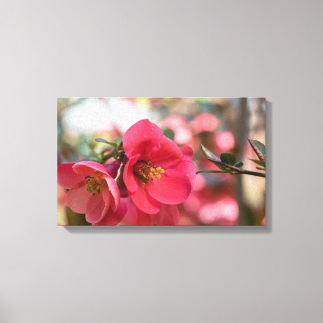 Flores rosa Canvas Premium (Frente)