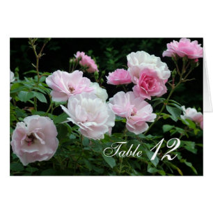 Flores rosa cor-de-rosa jantam cartão de número da