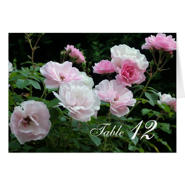 Flores rosa cor-de-rosa jantam cartão de número da (Frente horizontal)