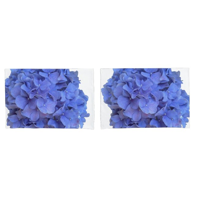 Flores roxas de Hydrangeas azuis Elegantes (Frente - conjunto)