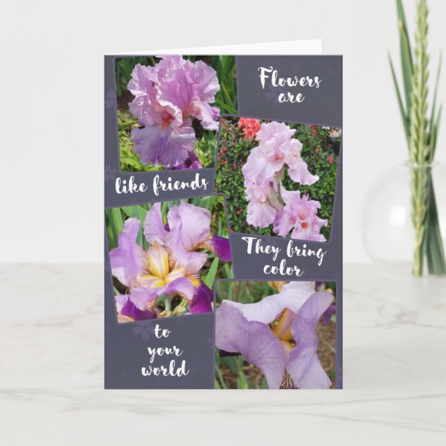 Flores são como o cartão de saudação de amigos (Frente)