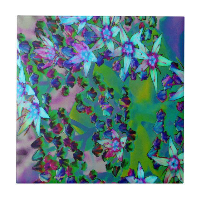 Flores-Sedum Sucultas em Aqua, Roxo e Azul (Frente)