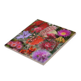 Flores Selvagens Australianas