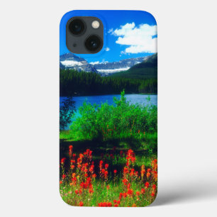 Flores selvagens do Pintbrush indiano