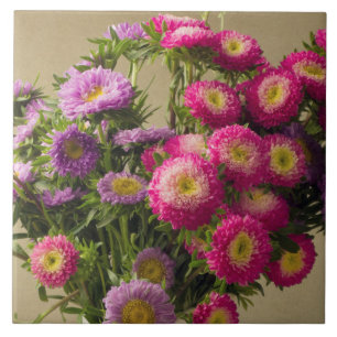 Flores Selvagens em um Azulejo Vase