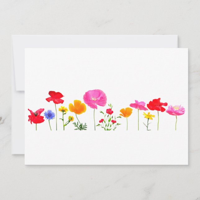 flores silvestres (Frente)