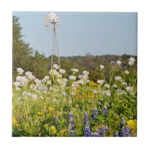Flores Silvestres e Moinho de Vento no Texas Hill