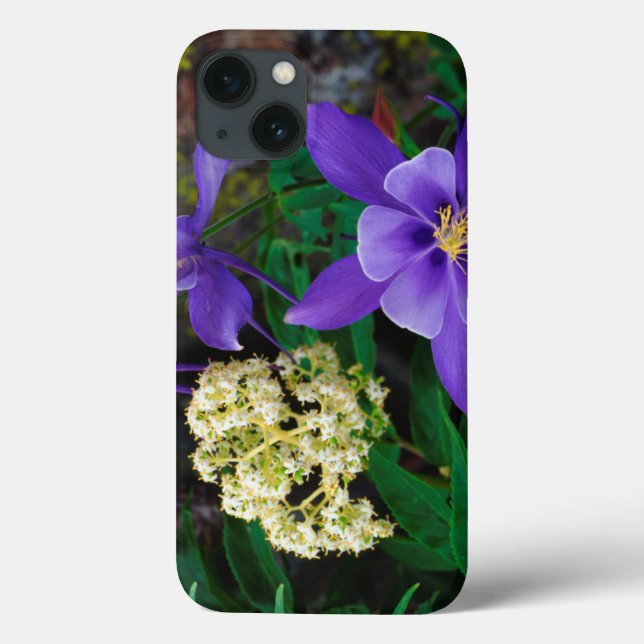 Flores Silvestres Mutantes Columbine (Verso)