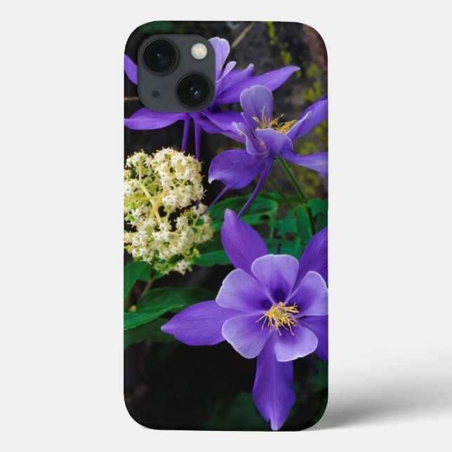 Flores Silvestres Mutantes Columbine (Verso)