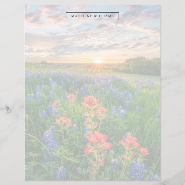 Flores | Texas Bluebonnets e Pincel da Índia (Frente)