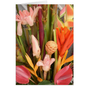 Flores tropicais - Cartão de Vazio