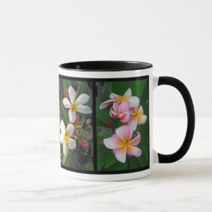 Flores tropicais havaianas do Plumeria na caneca