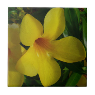 Flores tropicais II Ouros
