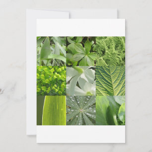 Flores Verdes