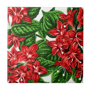 Flores vermelhas de gengibre, impressão