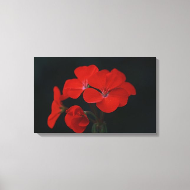 Flores Vermelhas Incríveis Impressão em Tela Estic (Frente)