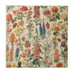 Flores Vintage<br><div class="desc">Visite minha loja para obter um design mais interessante e mais opções de cores => zazzle.com/colorfulworld*</div>